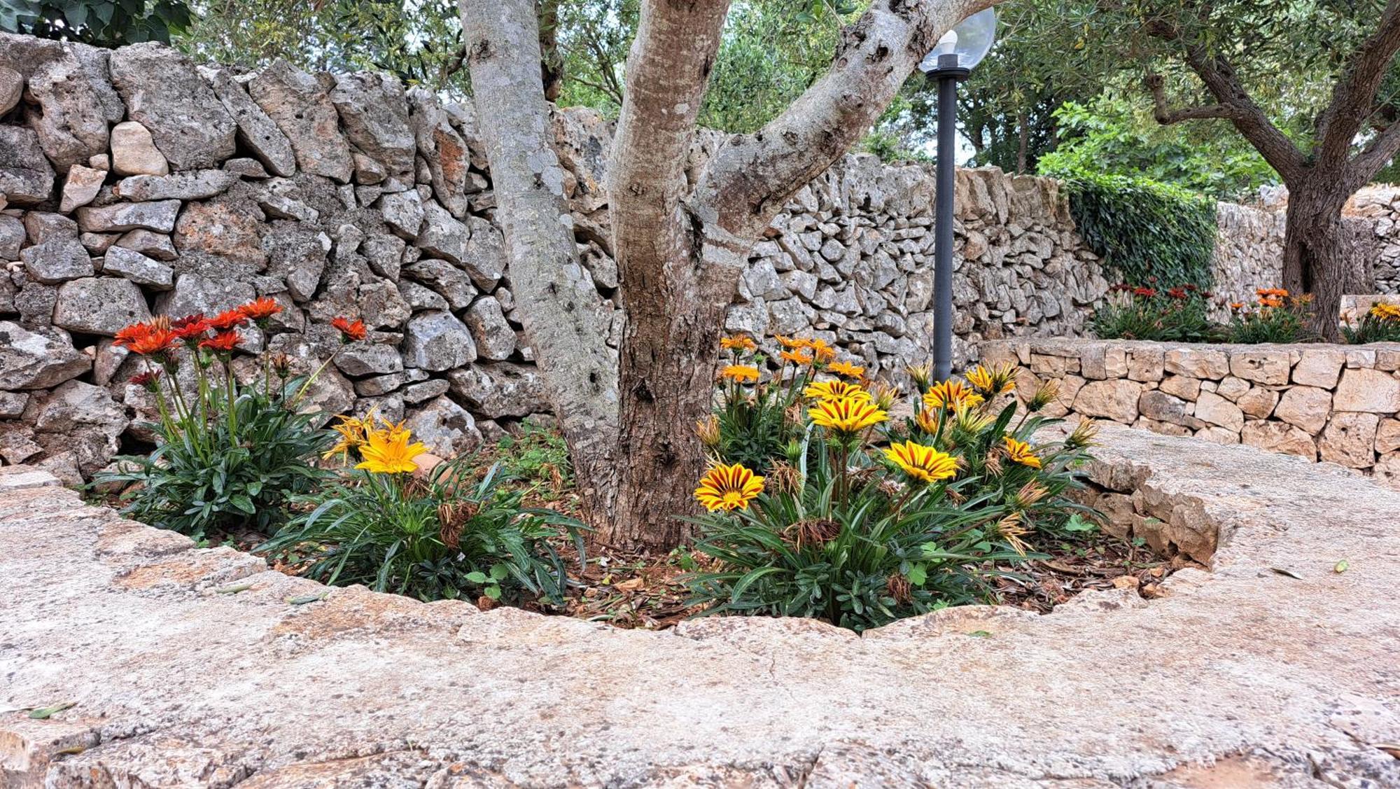 Вилла Casolare Di Puglia Ночи Экстерьер фото